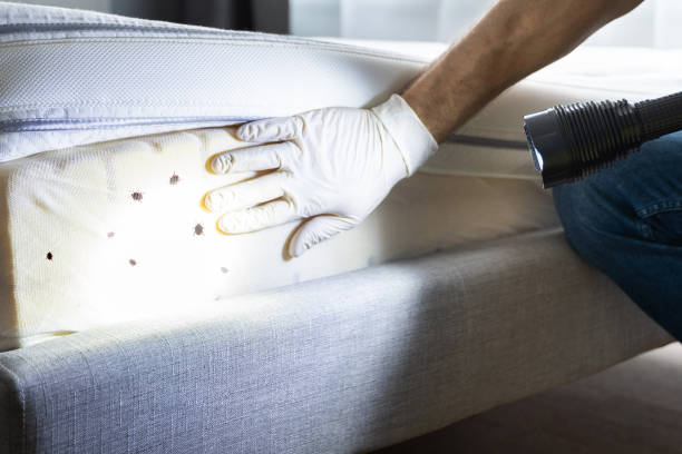 Trusted Fairmount Heights, MD Pest Control Experts