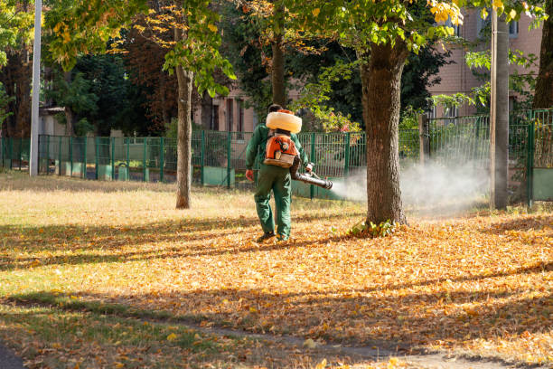 Best Pest Removal Services  in Fairmount Heights, MD