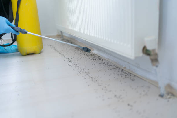 Best Wildlife Control Services  in Fairmount Heights, MD