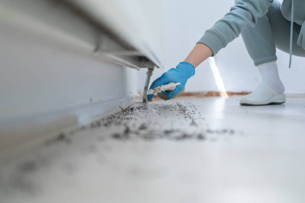 Best Pest Removal Services  in Fairmount Heights, MD