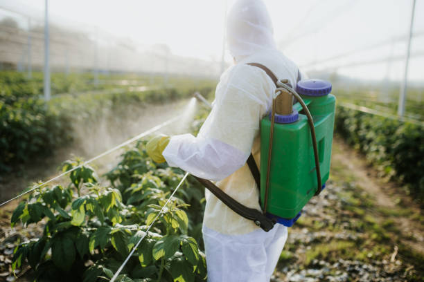 Best Affordable Pest Control Services  in Fairmount Heights, MD